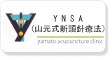 山元式新頭針療法（YNSA)